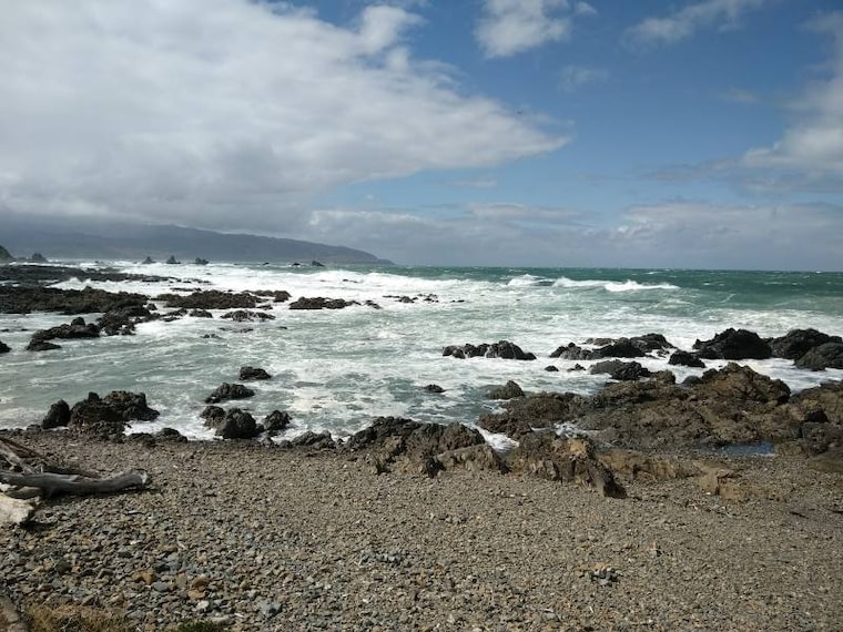 Wellington_Lyall_Bay_Beach_7