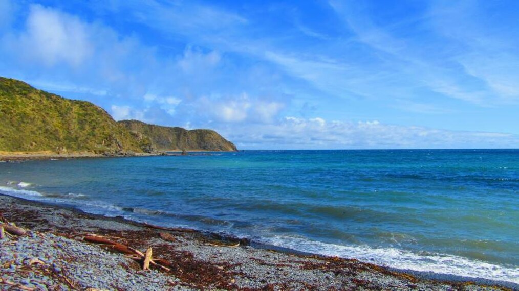 Wellington_Makara_Beach_3