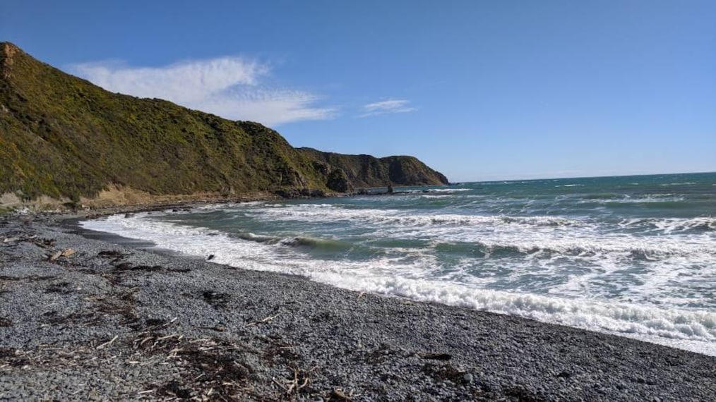 Wellington_Makara_Beach_4