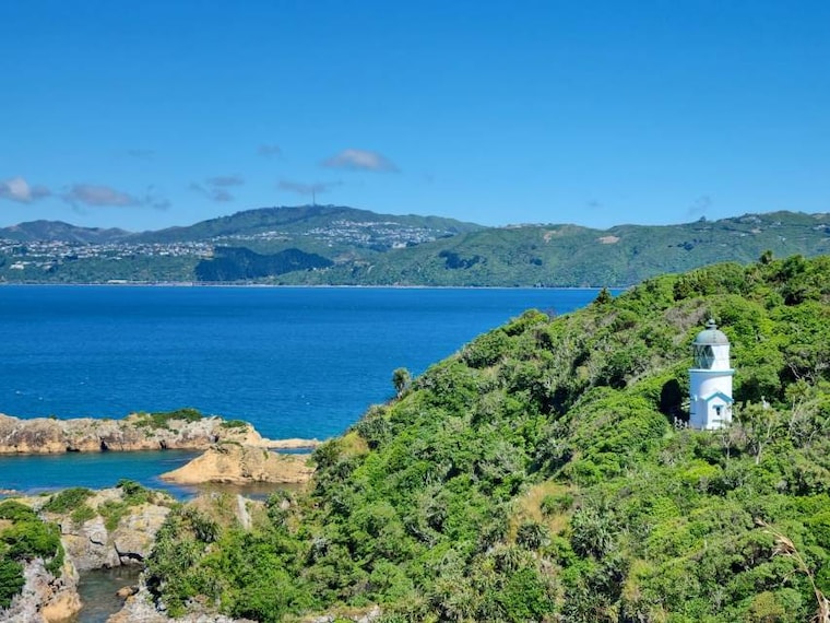 Wellington_Matiu_Somes_Island_4