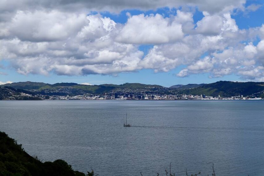 Wellington_Matiu_Somes_Island_5