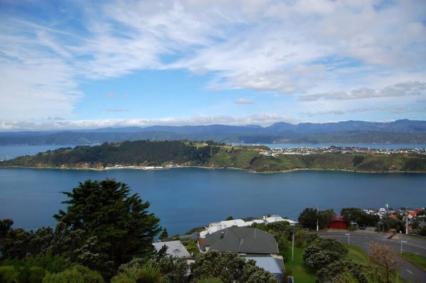 Wellington_Mount_Victoria_5