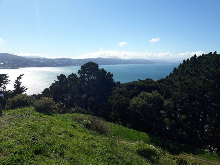 Wellington_Mount_Victoria_8