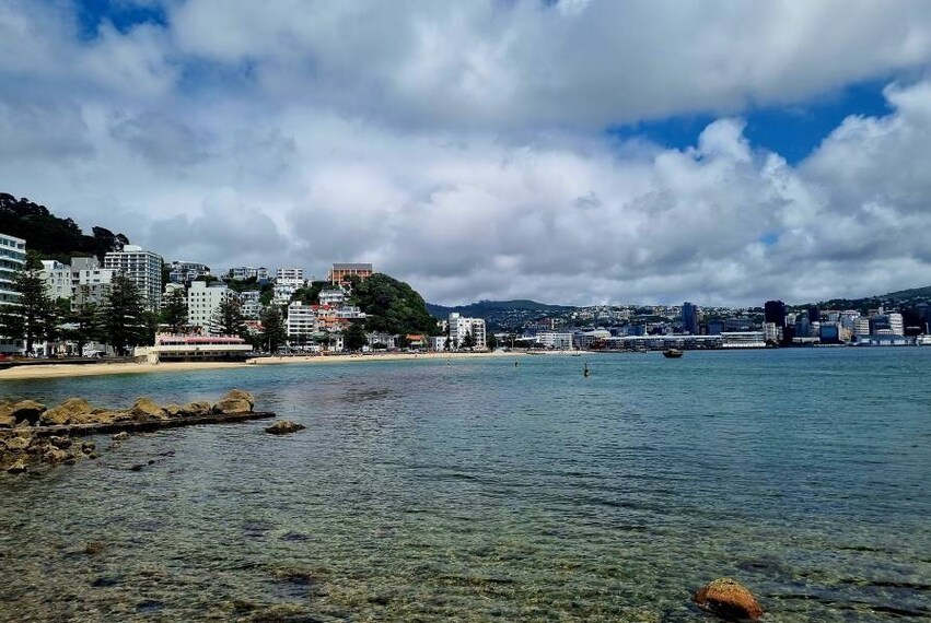 Wellington_Oriental_Bay_3