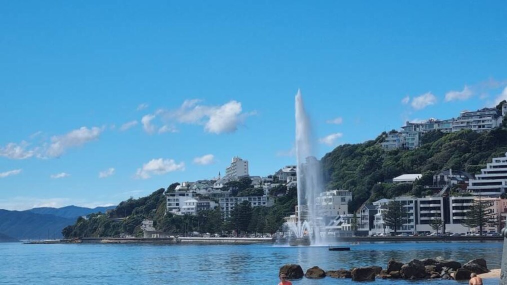 Wellington_Oriental_Bay_4