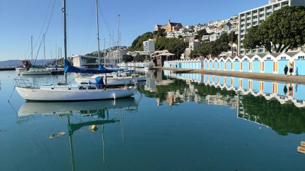 Wellington_Oriental_Bay_7