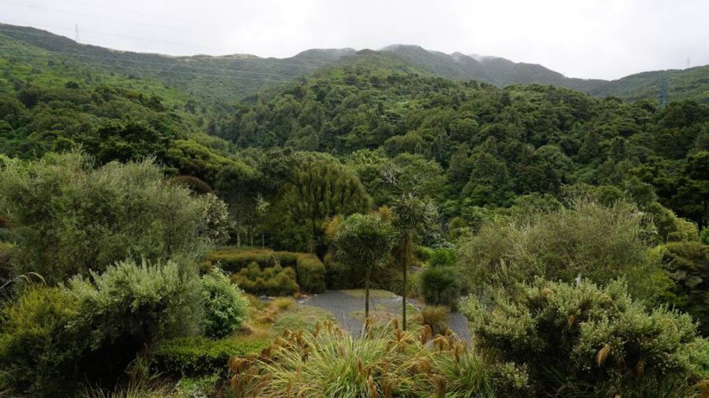 Wellington_Otari_Wilton's_Bush_4