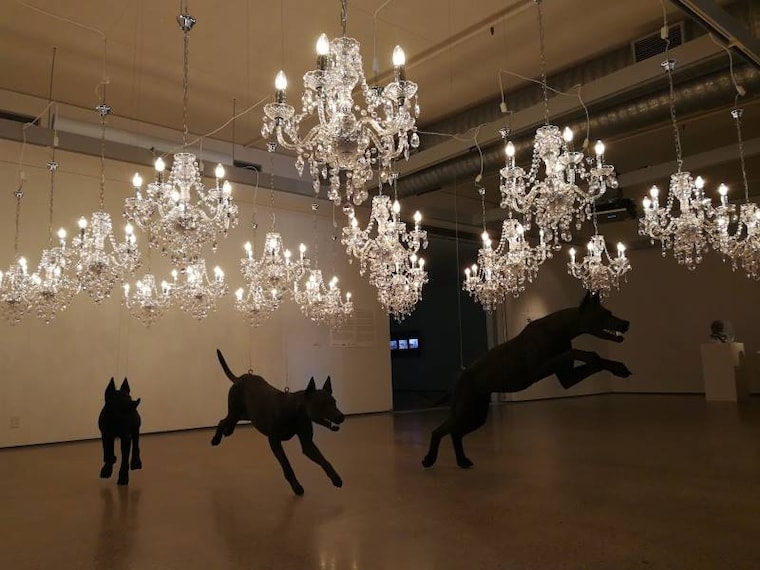 Wellington_Pataka_Art_&_Museum_5