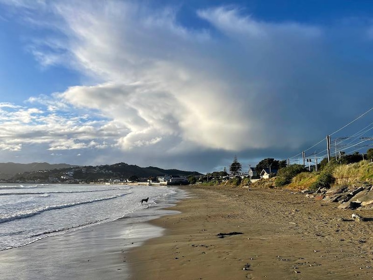 Wellington_Plimmerton_Beach_1