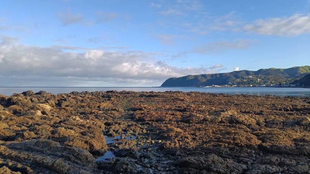 Wellington_Plimmerton_Beach_7