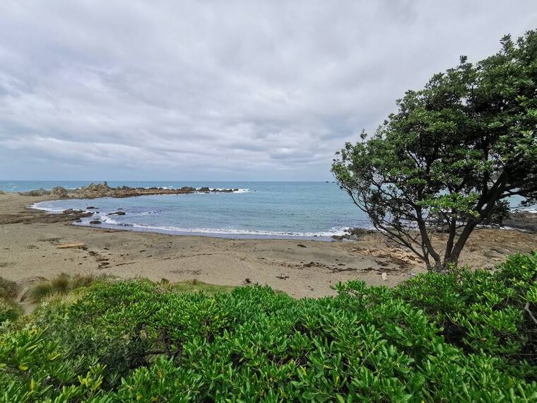 Wellington_Princess_Bay_3