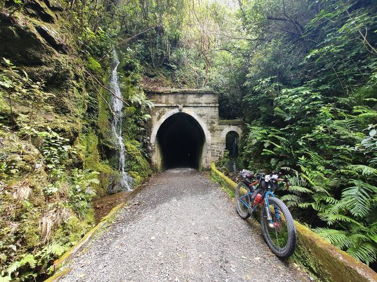 Wellington_Remutaka_Forest_Park_5