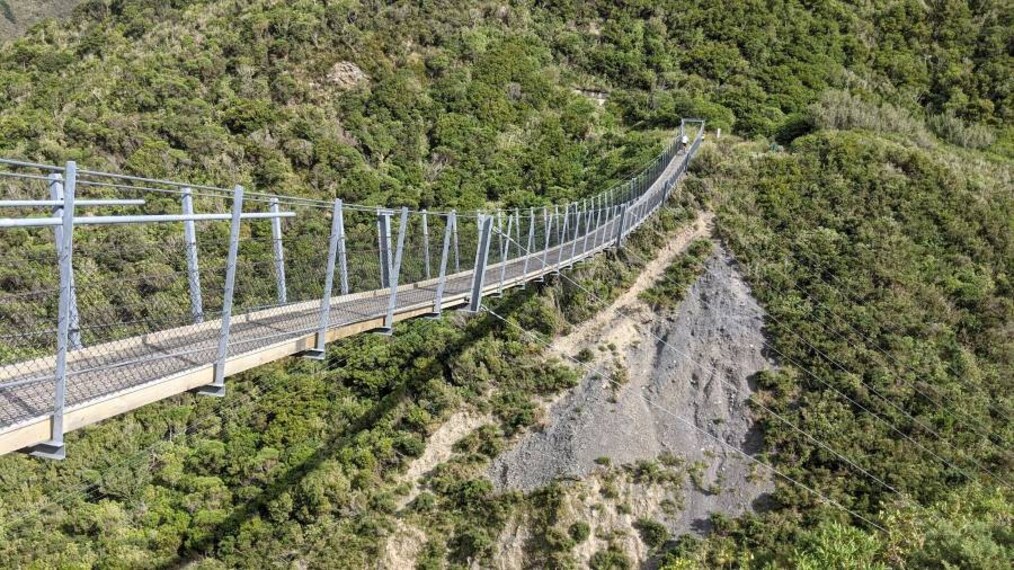 Wellington_Remutaka_Forest_Park_6