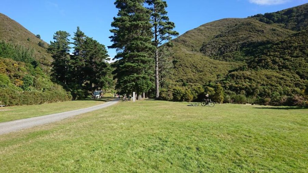 Wellington_Remutaka_Forest_Park_8