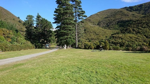 Remutaka Forest Park