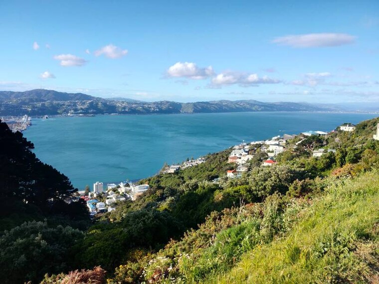 Wellington_The_Kelburn_Lookout_6