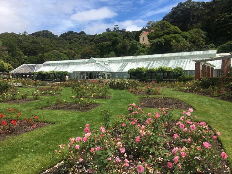 Wellington_Wellington_Botanic_Garden_1