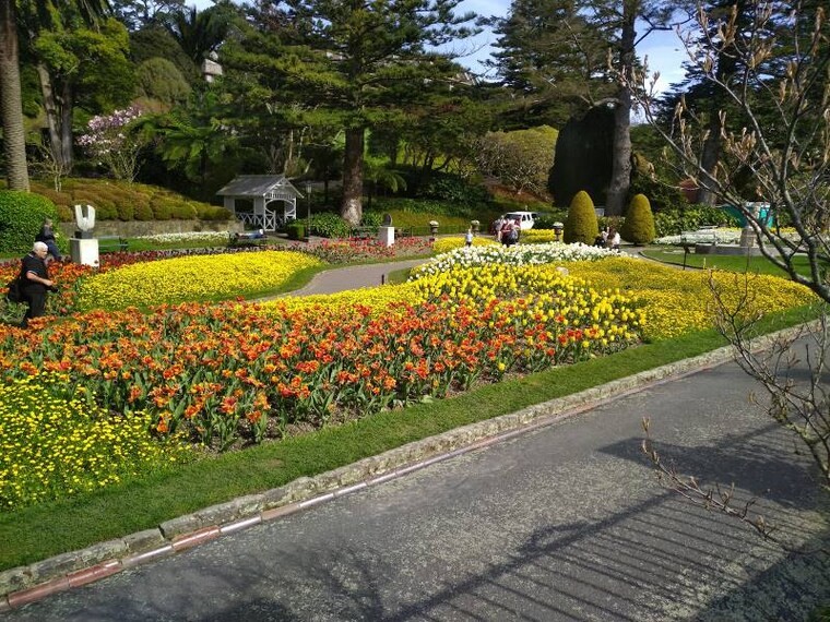 Wellington_Wellington_Botanic_Garden_3