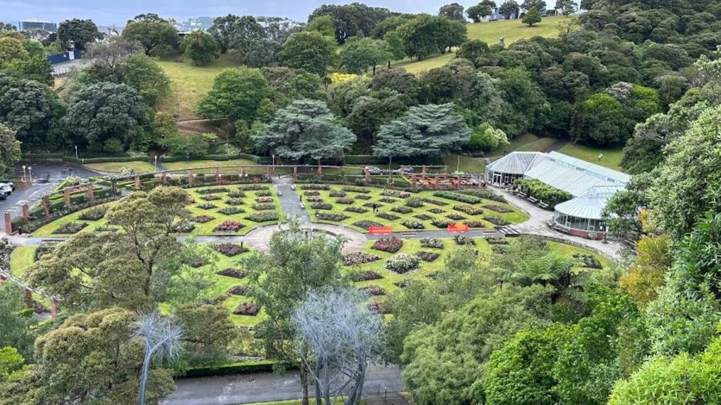 Wellington_Wellington_Botanic_Garden_7