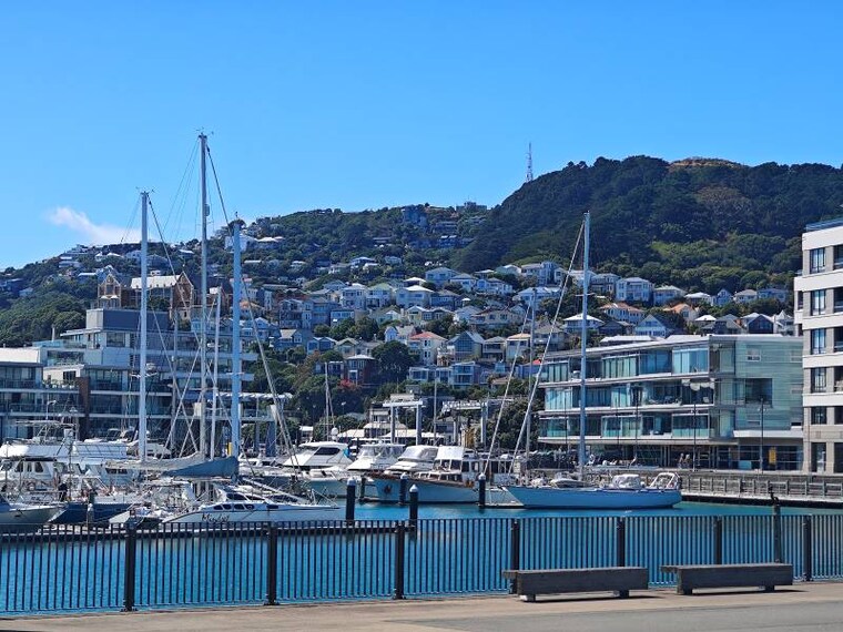 Wellington_Wellington_Harbour_2