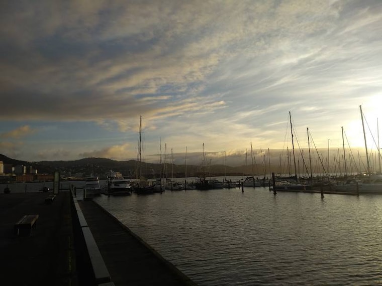 Wellington_Wellington_Harbour_4