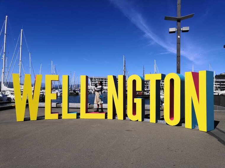 Wellington_Wellington_Harbour_5