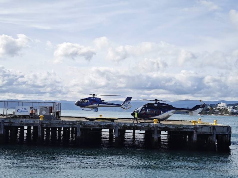 Wellington_Wellington_Harbour_8