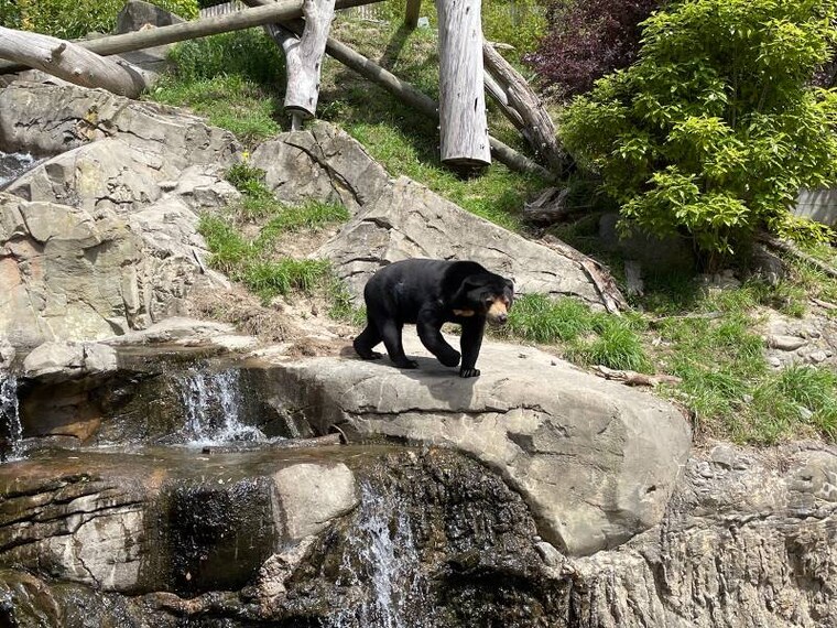 Wellington_Wellington_Zoo_10