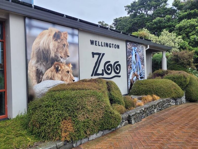 Wellington_Wellington_Zoo_1
