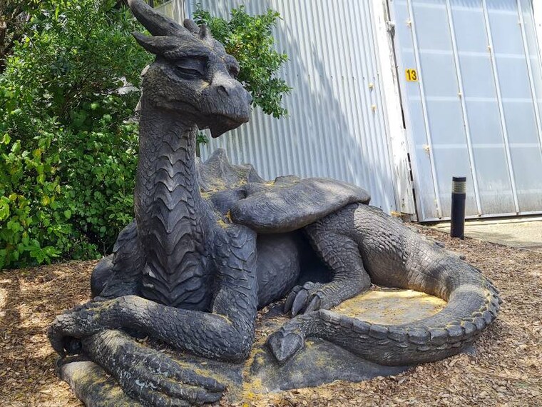 Wellington_Wellington_Zoo_8