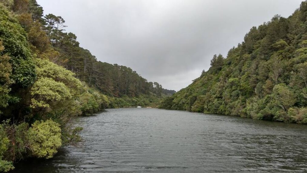 Wellington_Zealandia_2