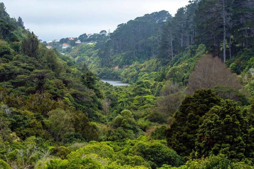 Wellington_Zealandia_3