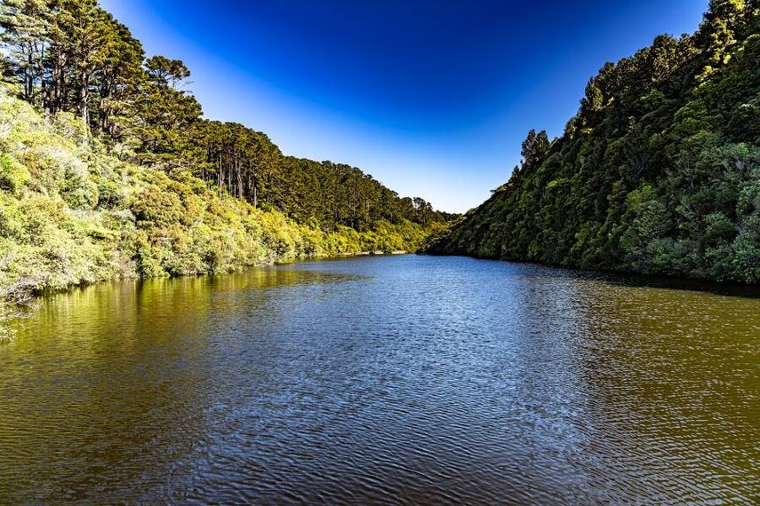 Wellington_Zealandia_4