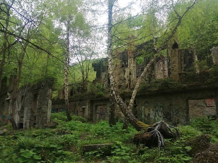 Brestovac Sanatorium