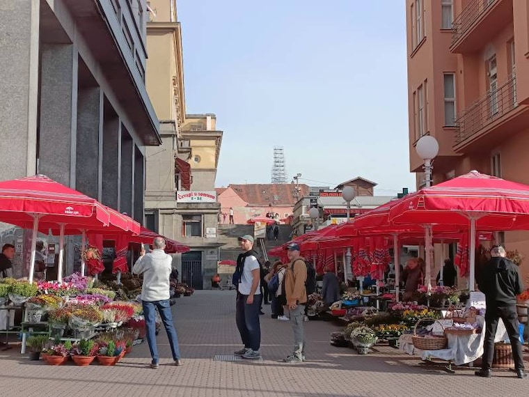 Zagreb_Dolac_Market_7