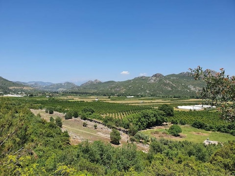 Ruins of Aspendos