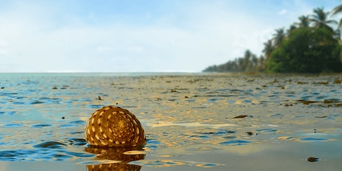 Chandipur Beach