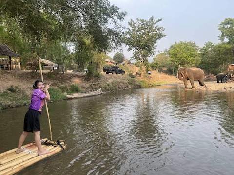 Bamboo Rafting