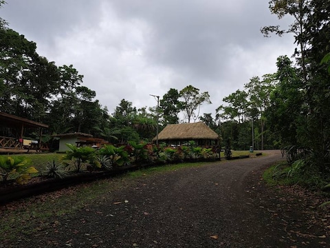Colo-I-Suva Forest Park