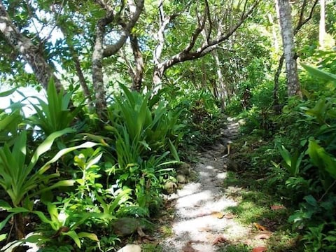 Lavena Coastal Walk