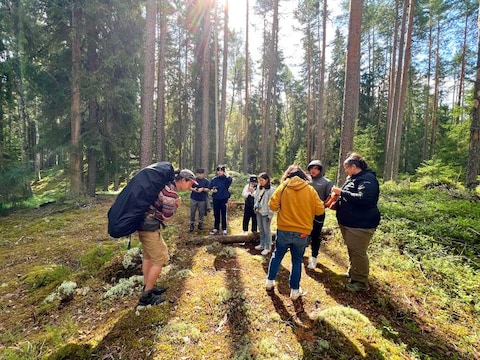 Taiga Forest Trek
