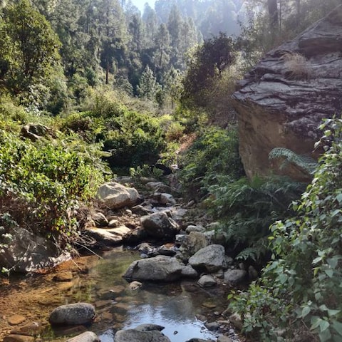 Rudradhari Falls and Caves