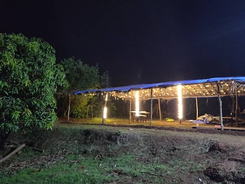 Camping in Kolad