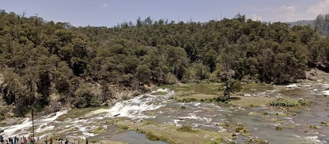 Elk Falls