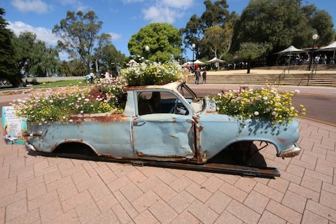 Fraser Avenue