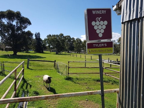 Tyler s Vineyards