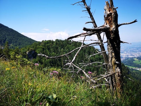 Mount Nockstein