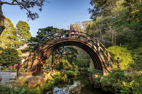 Golden Gate Park
