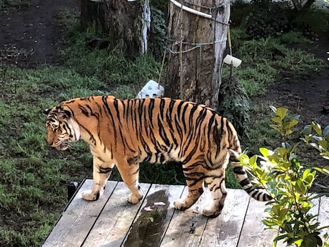 Oakland Zoo