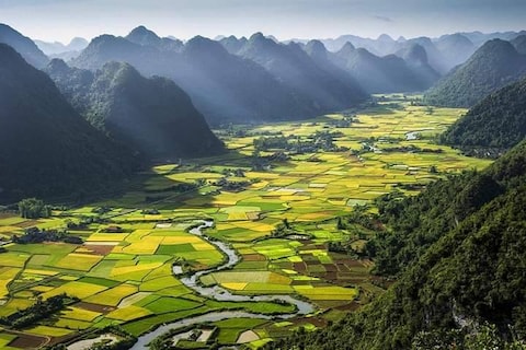 Rice Terraces in Sapa